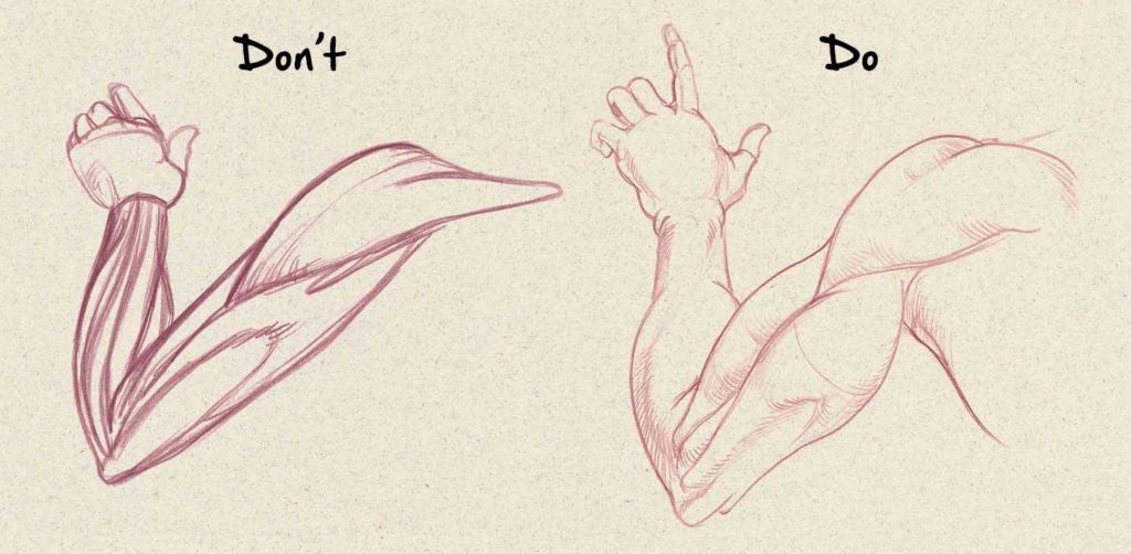 Muscles | Drawing Anatomy for Beginners: Top 5 Dos and Don’ts by Jeff Mellem | Artists Network