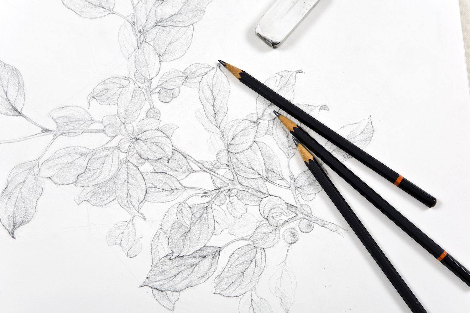 Photo of graphite sketch drawing courtesy of Getty Images | Understanding the Fundamentals of Graphite Pencil Drawing with Lee Hammond