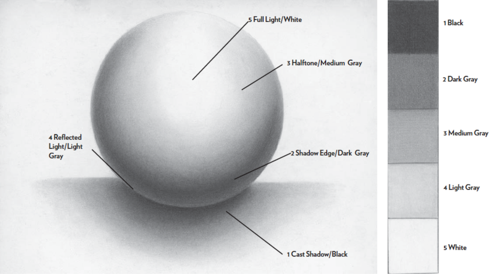 The Five Elements of Shading | Graphite Pencil Drawing Basics with Lee Hammond | Artists Network